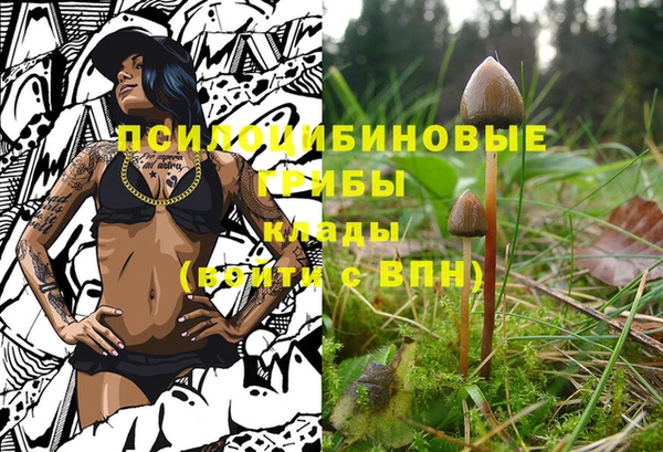 ECSTASY Козловка