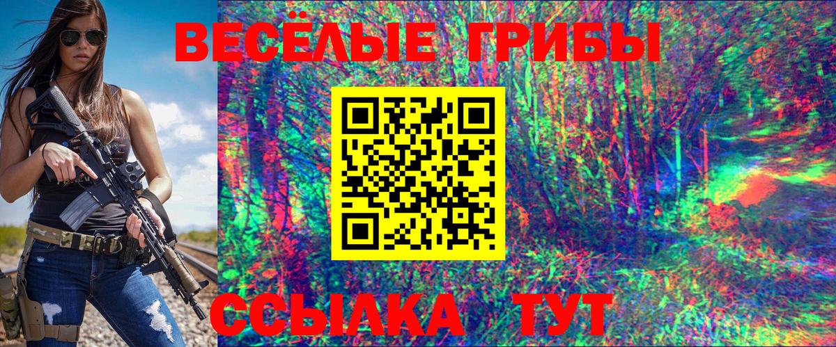 Псилоцибиновые грибы GOLDEN TEACHER  Вход с VPN  Мелеуз 